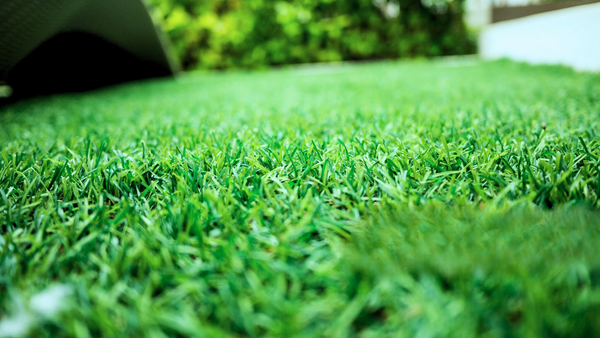 Uses for Artificial Grass