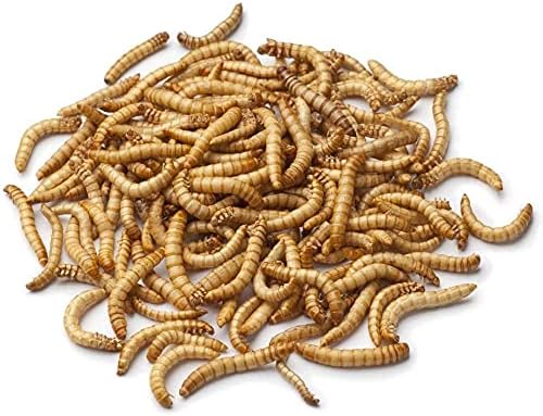 Egardenkart High-Protein Dried Mealworms - All Natural Treats for Birds, Chickens, Turtles, Fish, Hamsters, & Hedgehogs