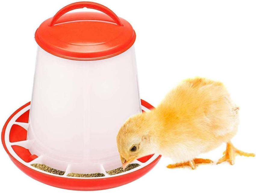 Egardenkart® Bird Food Feeder