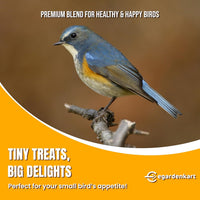 Egardenkart Wild Bird Food - Economic Bird Seed Mix for All types of Wild Birds | Bird Feed for Dove Pigeon Myna Lark Bulbul Sparrow Hoopoe | Bird Seeds Outdoor (20kgs, Small Seeds)
