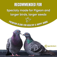 Egardenkart® Bird Food Mix for Pigeon - Premium Bird Feed for Domestic Pigeon | Nutritionally Complete Bird Seed Mix for Dove, Wild Pigeon And Large Wild Birds