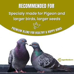 Egardenkart® Bird Food Mix for Pigeon - Premium Bird Feed for Domestic Pigeon | Nutritionally Complete Bird Seed Mix for Dove, Wild Pigeon And Large Wild Birds
