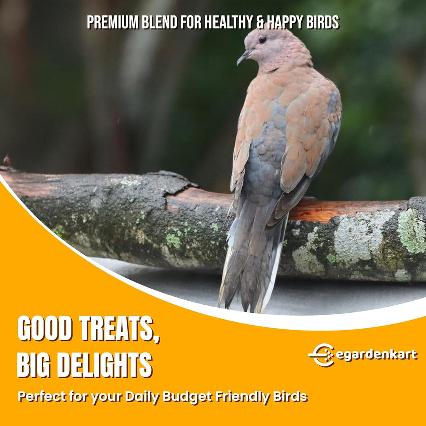 Egardenkart® Bird Food Daily Budget-Friendly - Wild Bird Feed for all Types of Wild Birds | Birds Food for Small Birds Dove Pigeon Myna Lark Bulbul Sparrow Hoopoe Seed Mix