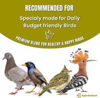 Egardenkart® Bird Food Daily Budget-Friendly - Wild Bird Feed for all Types of Wild Birds | Birds Food for Small Birds Dove Pigeon Myna Lark Bulbul Sparrow Hoopoe Seed Mix