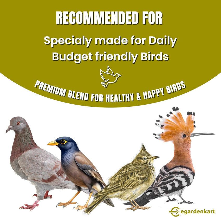 Egardenkart® Bird Food Daily Budget-Friendly - Wild Bird Feed for all Types of Wild Birds | Birds Food for Small Birds Dove Pigeon Myna Lark Bulbul Sparrow Hoopoe Seed Mix