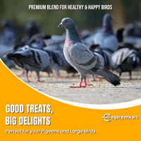 Egardenkart® Bird Food Mix for Pigeon - Premium Bird Feed for Domestic Pigeon | Nutritionally Complete Bird Seed Mix for Dove, Wild Pigeon And Large Wild Birds