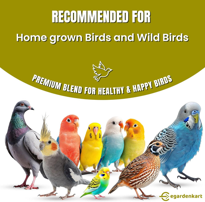 Egardenkart Small Bird Food for Budgies -  Bird Seed for Small Birds and Wild Birds | Bird Feed for Finches Canaries Cockatiel Hookbills doves quail and sparrows Seed mix