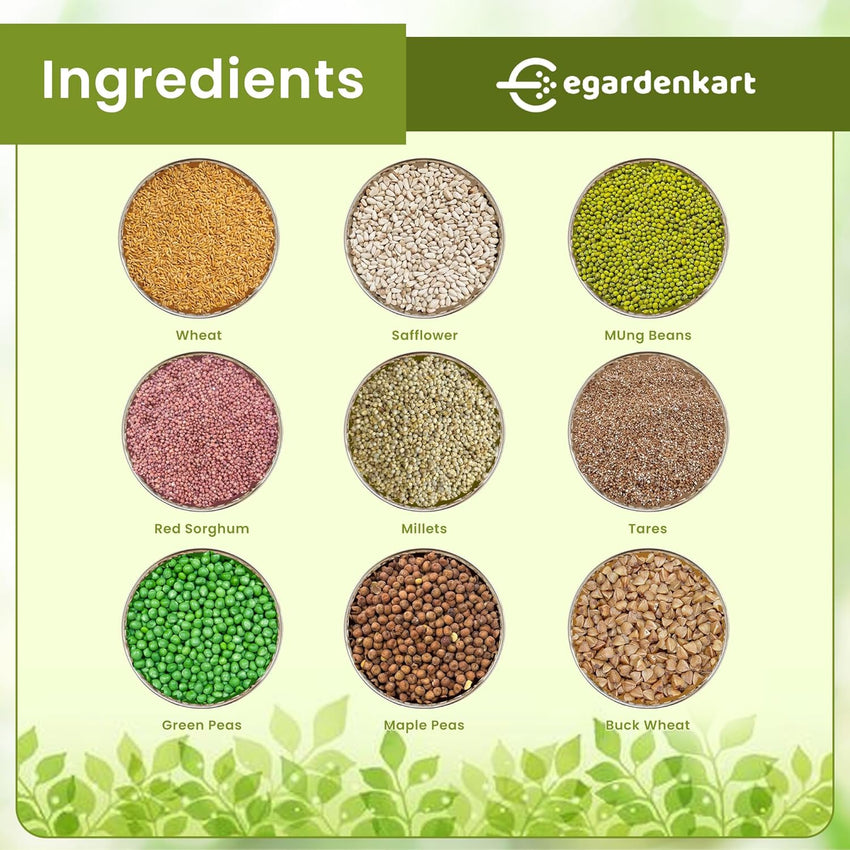 Egardenkart® Bird Food Mix for Pigeon - Premium Bird Feed for Domestic Pigeon | Nutritionally Complete Bird Seed Mix for Dove, Wild Pigeon And Large Wild Birds