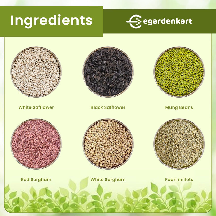 Egardenkart Wild Bird Food - Economic Bird Seed Mix for All types of Wild Birds | Bird Feed for Dove Pigeon Myna Lark Bulbul Sparrow Hoopoe | Bird Seeds Outdoor (20kgs, Small Seeds)