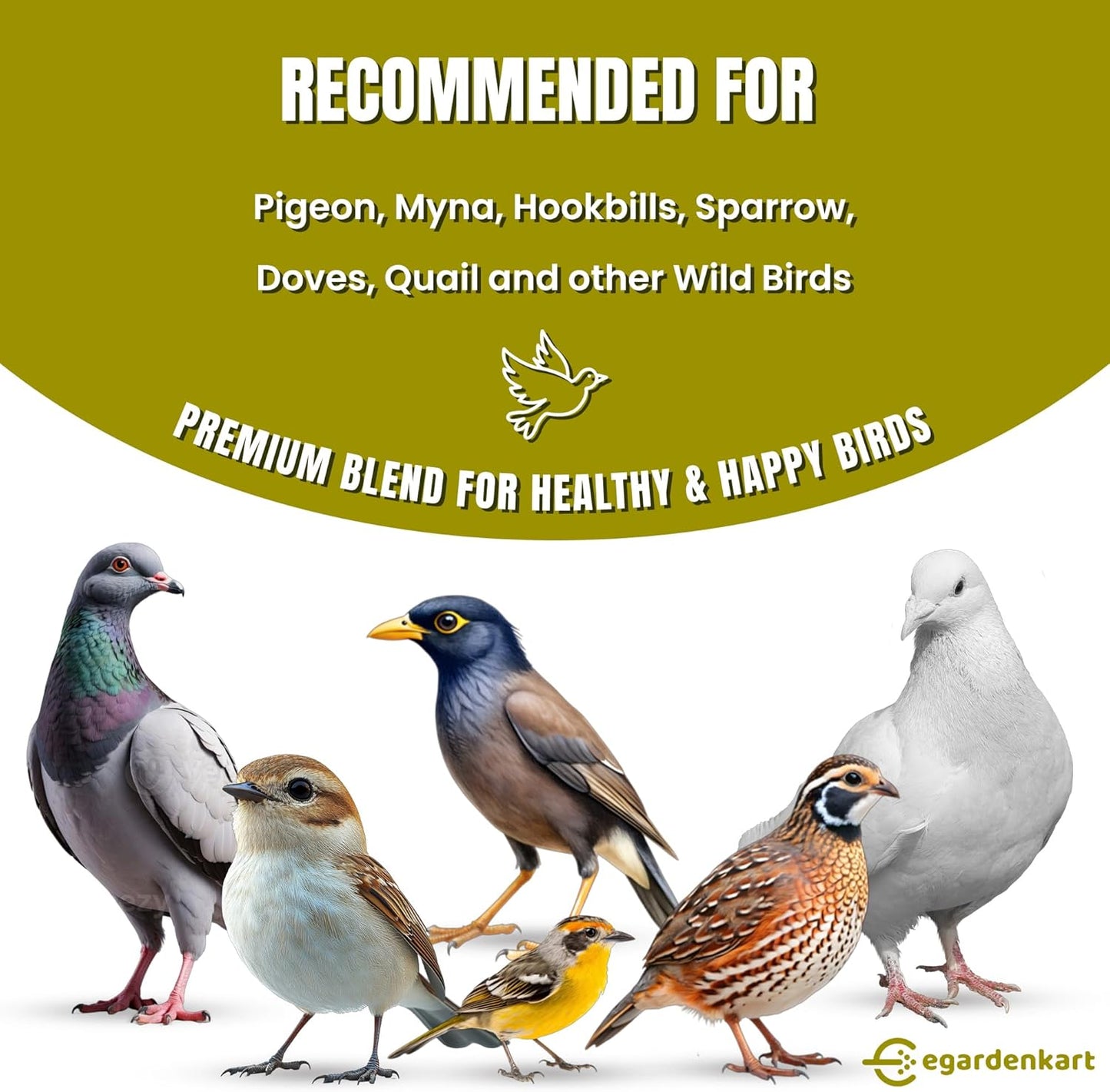 Egardenkart Wild Bird Food - Economic Bird Seed Mix for All types of Wild Birds | Bird Feed for Dove Pigeon Myna Lark Bulbul Sparrow Hoopoe | Bird Seeds Outdoor (20kgs, Small Seeds)