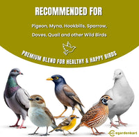Egardenkart Wild Bird Food - Economic Bird Seed Mix for All types of Wild Birds | Bird Feed for Dove Pigeon Myna Lark Bulbul Sparrow Hoopoe | Bird Seeds Outdoor (20kgs, Small Seeds)