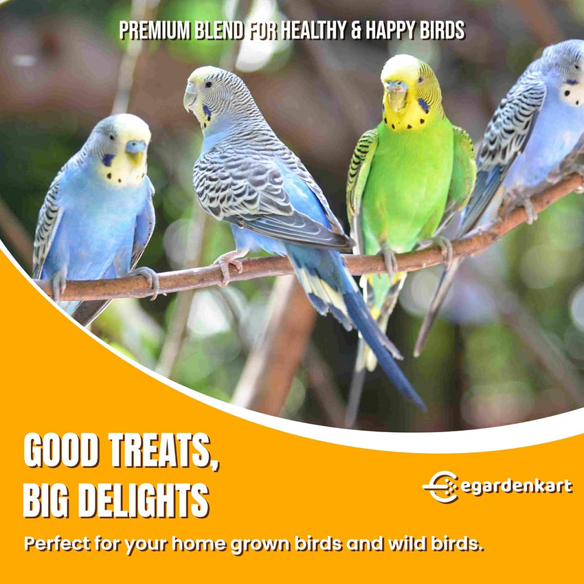 Egardenkart Small Bird Food for Budgies -  Bird Seed for Small Birds and Wild Birds | Bird Feed for Finches Canaries Cockatiel Hookbills doves quail and sparrows Seed mix