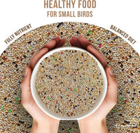 Can You Feed Quail Bird Seed: Essential Insights