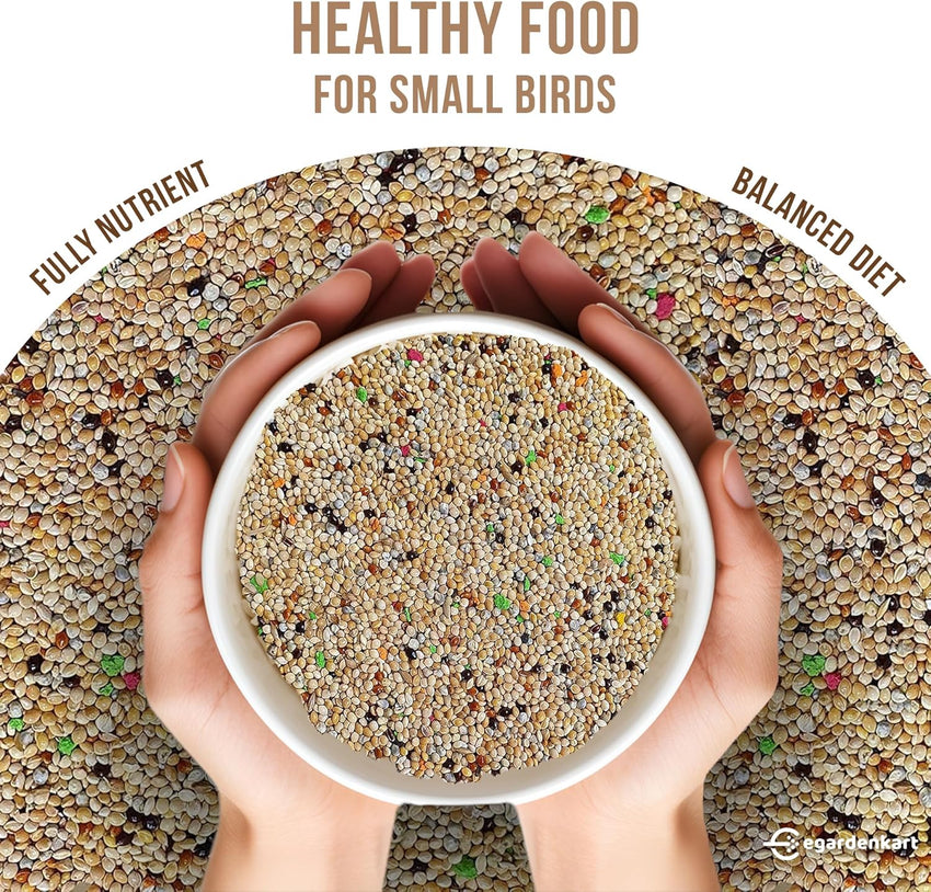 Egardenkart Small Bird Food for Budgies -  Bird Seed for Small Birds and Wild Birds | Bird Feed for Finches Canaries Cockatiel Hookbills doves quail and sparrows Seed mix