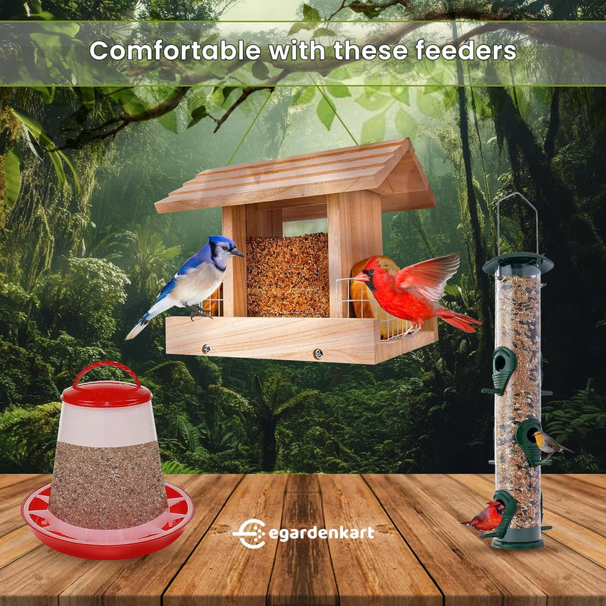 Egardenkart Wild Bird Food - Economic Bird Seed Mix for All types of Wild Birds | Bird Feed for Dove Pigeon Myna Lark Bulbul Sparrow Hoopoe | Bird Seeds Outdoor (20kgs, Small Seeds)