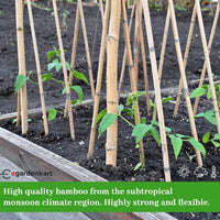 Egardenkart Bamboo Sticks for Plants - Garden Sticks for Strong Support | Long Plant sticks for Plant Support Stakes