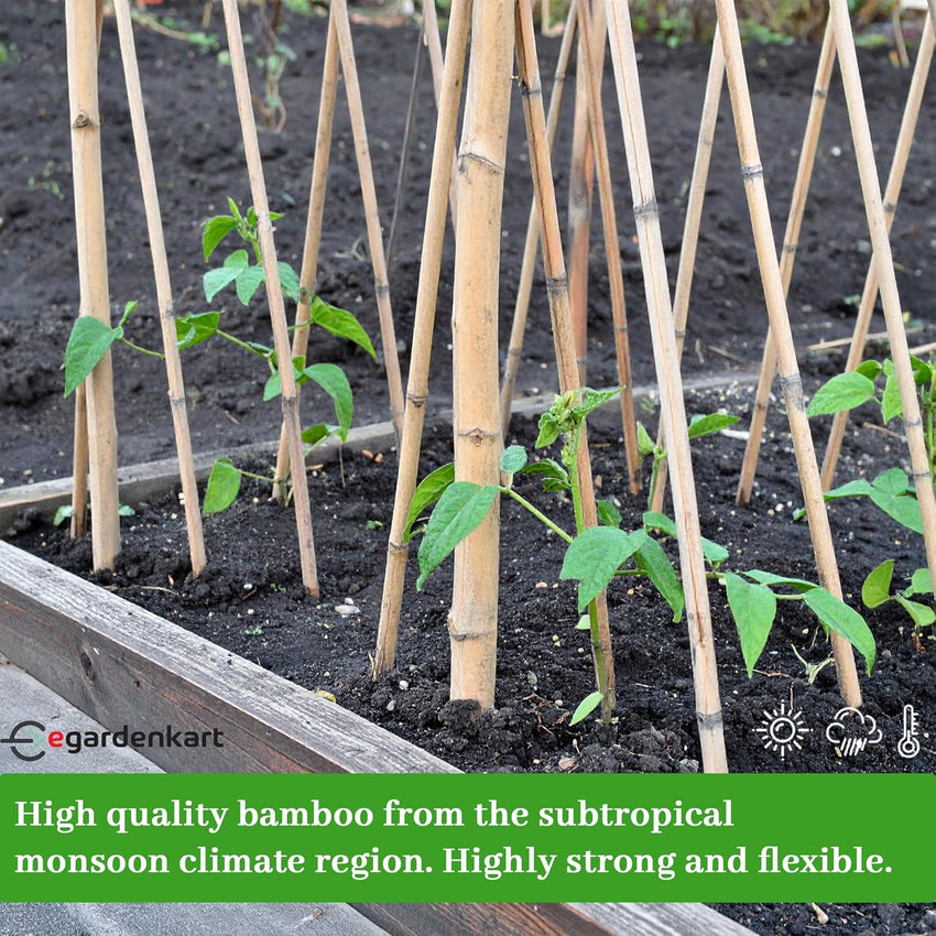 Egardenkart Bamboo Sticks for Plants - Garden Sticks for Strong Support | Long Plant sticks for Plant Support Stakes
