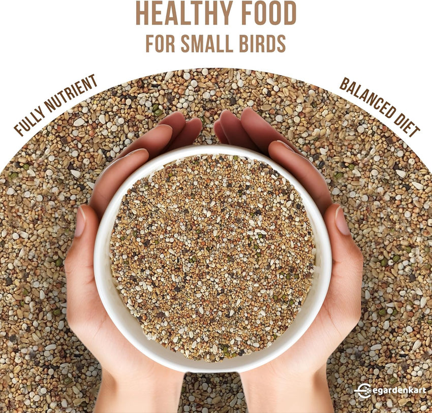 Egardenkart Wild Bird Food - Economic Bird Seed Mix for All types of Wild Birds | Bird Feed for Dove Pigeon Myna Lark Bulbul Sparrow Hoopoe | Bird Seeds Outdoor (20kgs, Small Seeds)