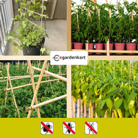 Egardenkart Bamboo Sticks for Plants - Garden Sticks for Strong Support | Long Plant sticks for Plant Support Stakes