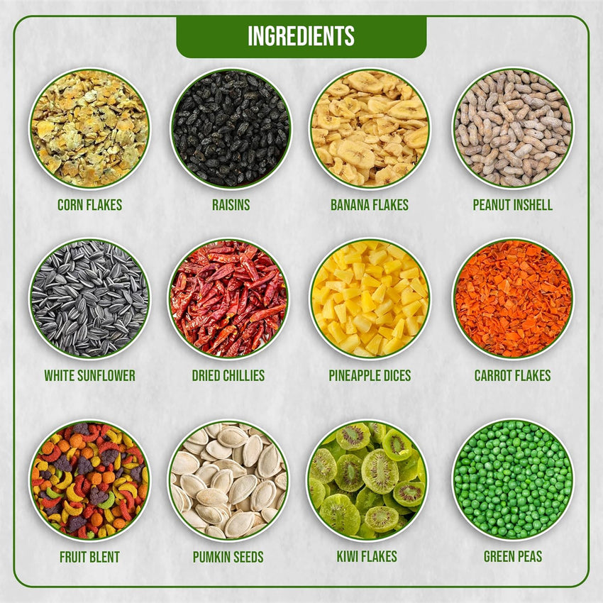 Egardenkart® Parrot Food Mix - Parrots Food with Fruit Blend | Bird Food for Parrot | Nutritionally Complete Bird Seed Mix | Bird Feed for Macaw, Cockatoo and All Parrots