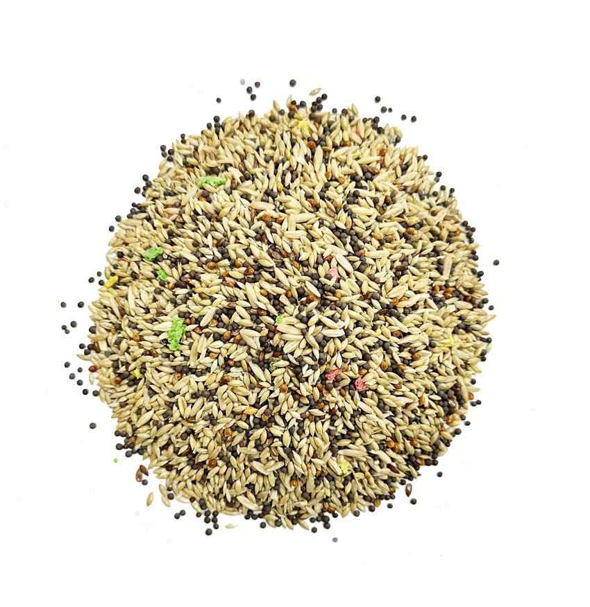 Premium Canary Bird Food - Nutrient-rich Blend for Vibrant Feathers and Health