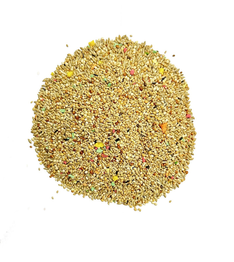 Premium Finch Bird Food - Nourishing Blend for Finches' Health and Vitality