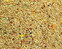 Premium Finch Bird Food - Nourishing Blend for Finches' Health and Vitality