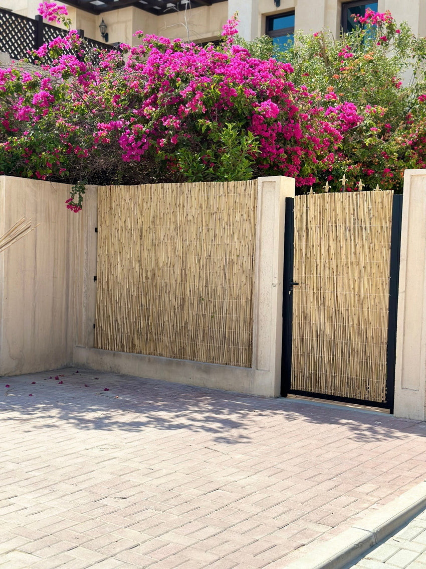 Bamboo Reed Fence/Privacy Fence