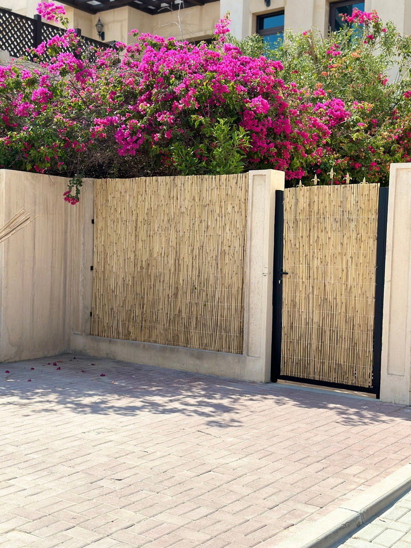 Bamboo Reed Fence/Privacy Fence
