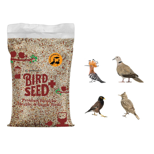 Egardenkart® Daily Budget-Friendly Wild Bird Feed for All types of Wild Birds Small Birds Dove Pigeon Myna Lark Bulbul Sparrow Hoopoe Seed Mix