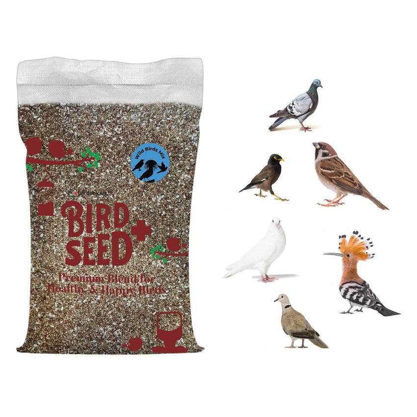 Bird Food Mix for All kinds of Wild Birds food Small Grains