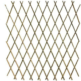 Bamboo Trellis