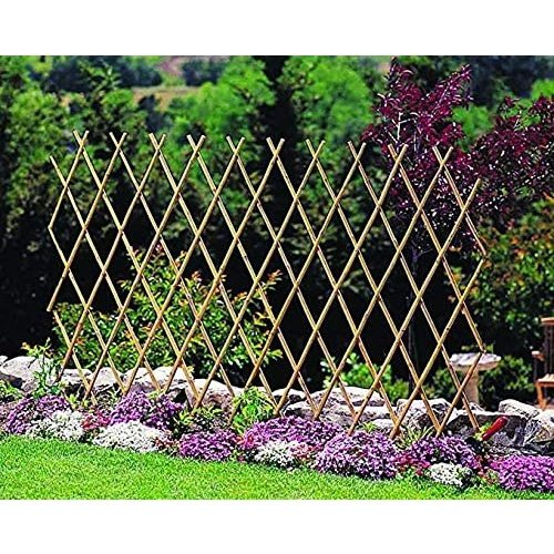 Bamboo Trellis