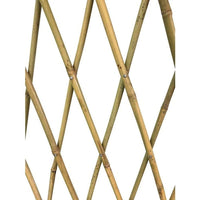 Bamboo Trellis