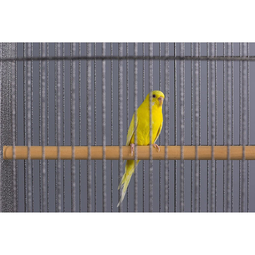 Large Bird Cage Flight Cage Wrought Iron for Cockatiels African Grey Quaker Amazon Sun Parakeets Green Cheek Conures Bird Cage.