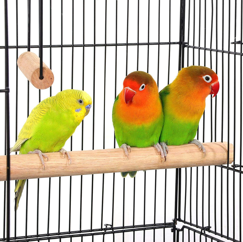 Outlet Bird Cages for Parakeets Cockatiels FiLovebirds nches Canaries Conures Budgies, Detachable Rolling Stand Copy