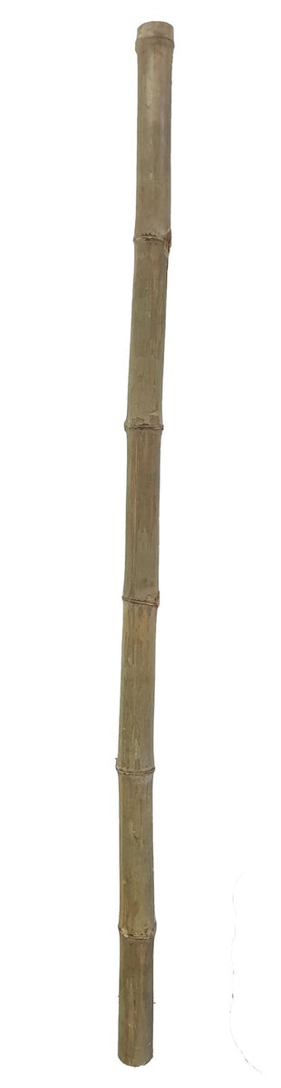 Bamboo Pole Natural 3"-4" dia Heavy Thick Large Long Bamboo Stake for support decor Privacy fence.