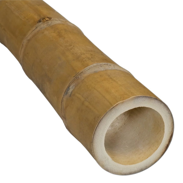 Bamboo Pole Natural 3"-4" dia Heavy Thick Large Long Bamboo Stake for support decor Privacy fence.